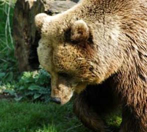 Maya Chen profile photo