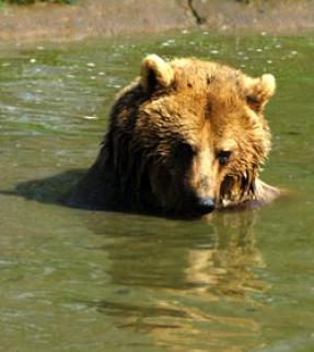 Maya Chen profile photo