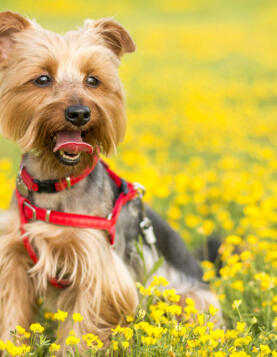 Leo Anders profile photo