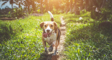 Leo Anders profile photo