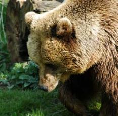 Alex Martinez avatar