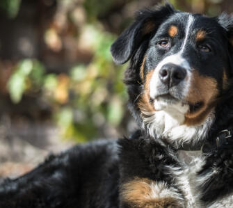 Leo Anders profile photo