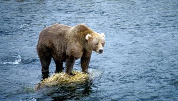 Jonas Richter profile photo
