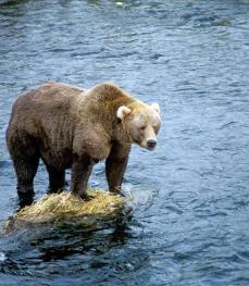 Maya Chen profile photo