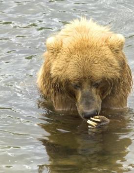 Leo Anders profile photo