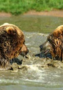 Maya Chen profile photo