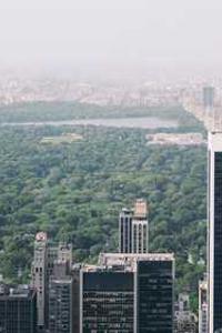 Alex Martinez avatar