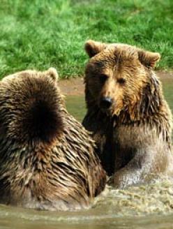 Leo Anders profile photo