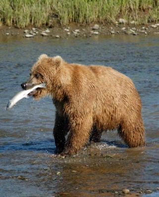 Jonas Richter profile photo