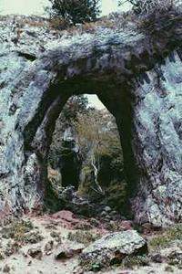 Jonas Richter profile photo