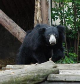 Alex Martinez avatar