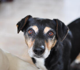 Leo Anders profile photo