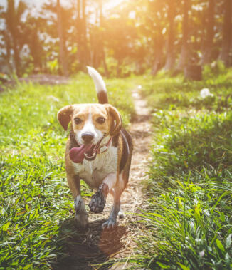 Jonas Richter profile photo