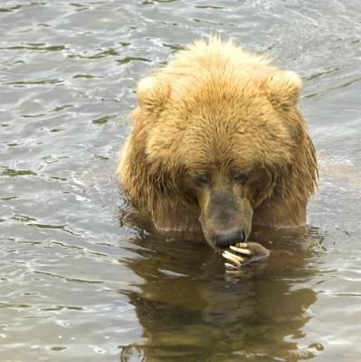 Maya Chen profile photo