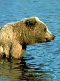 Jonas Richter profile photo