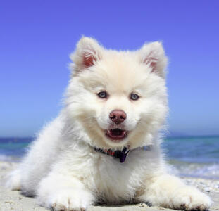 Maya Chen profile photo