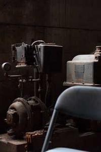 Maya Chen profile photo