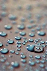 Alex Martinez avatar