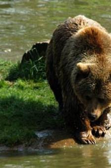 Jonas Richter profile photo