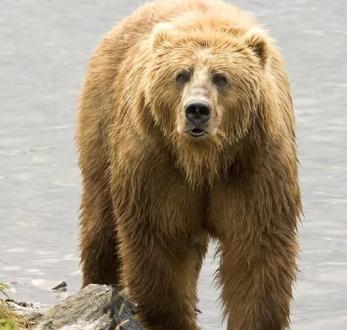 Leo Anders profile photo