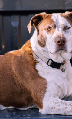 Jonas Richter profile photo