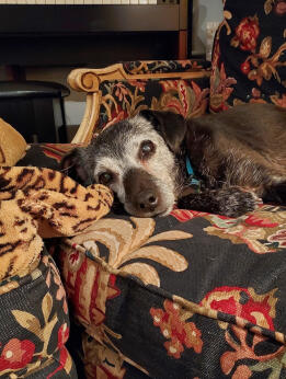 Alex Martinez avatar