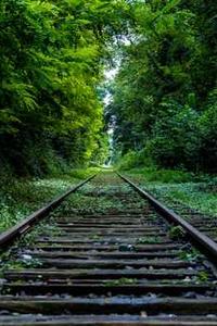 Alex Martinez avatar