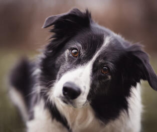 Leo Anders profile photo