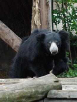 Maya Chen profile photo