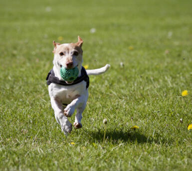 Maya Chen profile photo