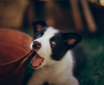 Alex Martinez avatar