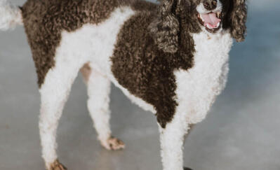 Leo Anders profile photo