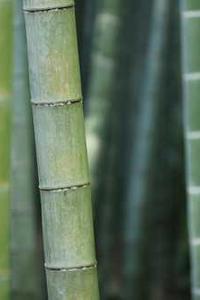 Leo Anders profile photo