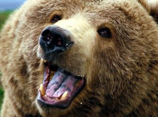 Alex Martinez avatar