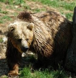 Leo Anders profile photo