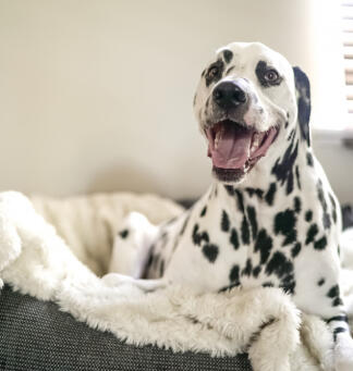 Alex Martinez avatar