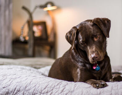 Leo Anders profile photo