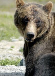 Jonas Richter profile photo