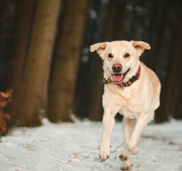 Leo Anders profile photo