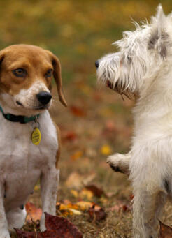 Jonas Richter profile photo