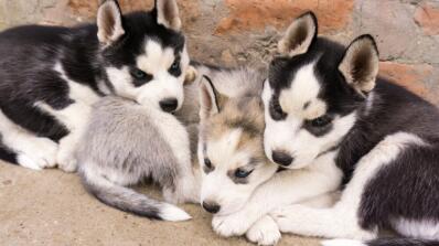 Alex Martinez avatar