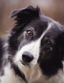 Jonas Richter profile photo
