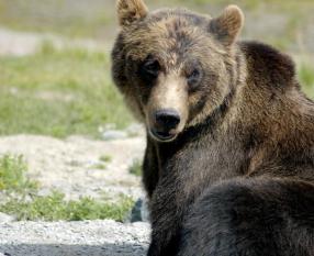 Jonas Richter profile photo