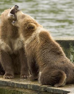 Maya Chen profile photo