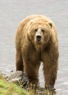 Jonas Richter profile photo