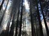 Romance Authors’ Favorite Romance Novels
