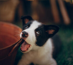 Leo Anders profile photo