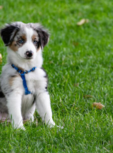 Leo Anders profile photo