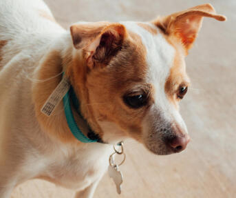 Maya Chen profile photo