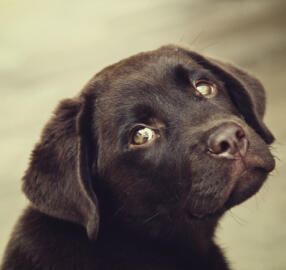 Leo Anders profile photo